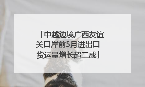 中越边境广西友谊关口岸前5月进出口货运量增长超三成