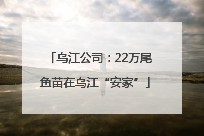 乌江公司：22万尾鱼苗在乌江“安家”