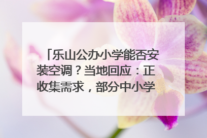乐山公办小学能否安装空调？当地回应：正收集需求，部分中小学已启动安装｜云求助
