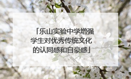 乐山实验中学增强学生对优秀传统文化的认同感和自豪感