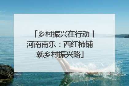 乡村振兴在行动丨河南南乐：西红柿铺就乡村振兴路
