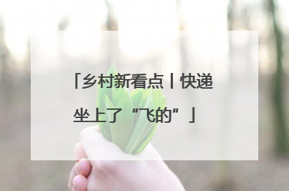 乡村新看点丨快递坐上了“飞的”