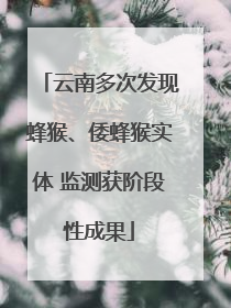 云南多次发现蜂猴、倭蜂猴实体 监测获阶段性成果