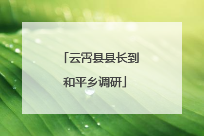 云霄县县长到和平乡调研