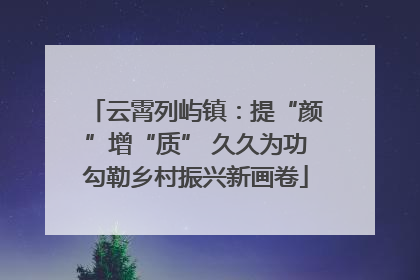 云霄列屿镇：提“颜”增“质” 久久为功勾勒乡村振兴新画卷