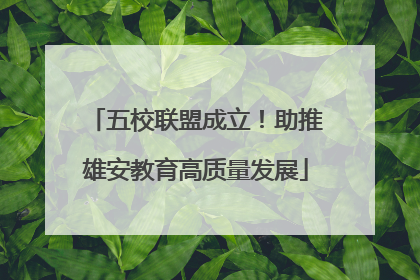 五校联盟成立！助推雄安教育高质量发展