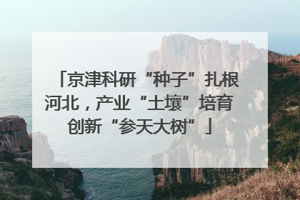 京津科研“种子”扎根河北，产业“土壤”培育创新“参天大树”