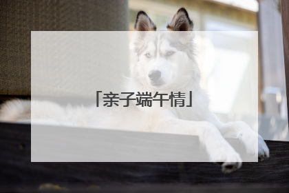 亲子端午情