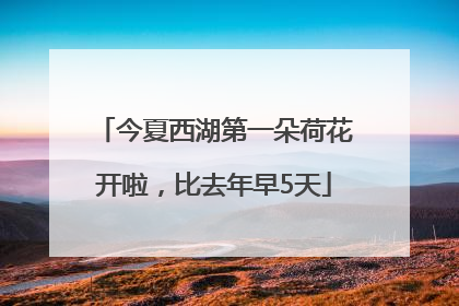 今夏西湖第一朵荷花开啦，比去年早5天
