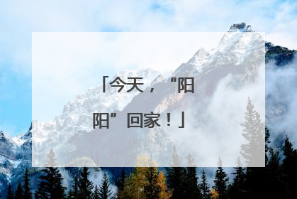今天，“阳阳”回家！