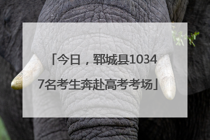 今日，郓城县10347名考生奔赴高考考场