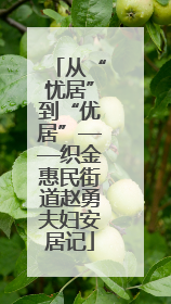 从“忧居”到“优居”——织金惠民街道赵勇夫妇安居记