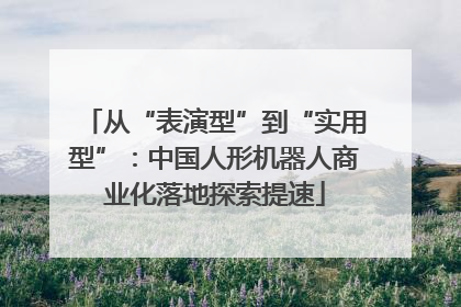 从“表演型”到“实用型”：中国人形机器人商业化落地探索提速