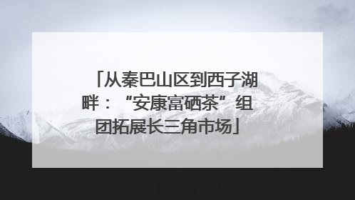 从秦巴山区到西子湖畔：“安康富硒茶”组团拓展长三角市场