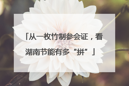 从一枚竹制参会证，看湖南节能有多“拼”