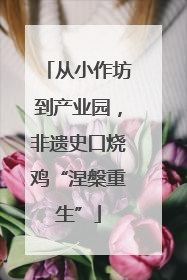 从小作坊到产业园，非遗史口烧鸡“涅槃重生”