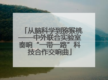 从脑科学到猕猴桃——中外联合实验室奏响“一带一路”科技合作交响曲