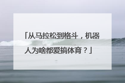 从马拉松到格斗，机器人为啥都爱搞体育？