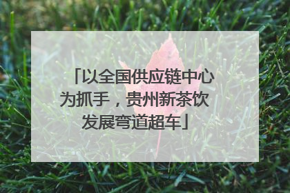 以全国供应链中心为抓手，贵州新茶饮发展弯道超车
