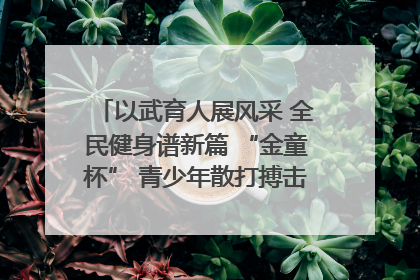 以武育人展风采 全民健身谱新篇 “金童杯” 青少年散打搏击邀请赛圆满落幕