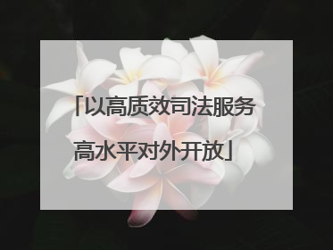以高质效司法服务高水平对外开放