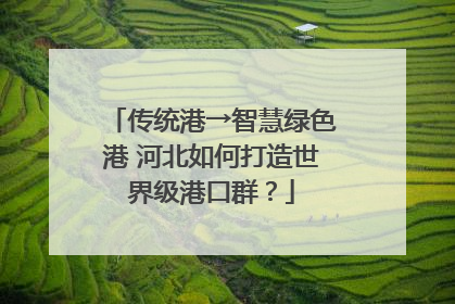 传统港→智慧绿色港 河北如何打造世界级港口群？