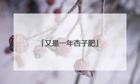 又是一年杏子肥