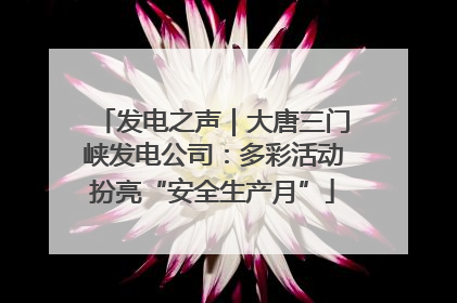 发电之声｜大唐三门峡发电公司：多彩活动扮亮“安全生产月”