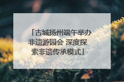 古城扬州端午举办非遗游园会 深度探索非遗传承模式