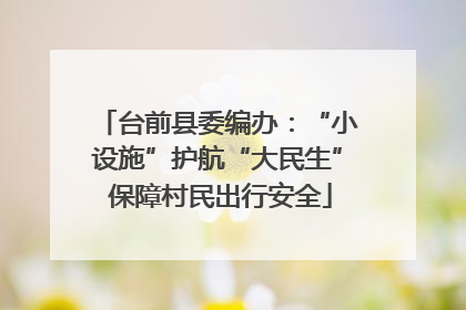 台前县委编办：“小设施”护航“大民生” 保障村民出行安全