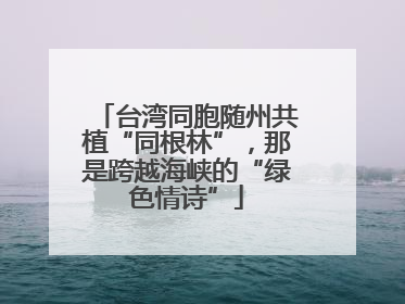 台湾同胞随州共植“同根林”，那是跨越海峡的“绿色情诗”