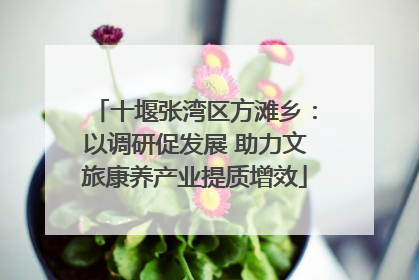 十堰张湾区方滩乡：以调研促发展 助力文旅康养产业提质增效