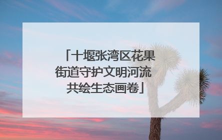 十堰张湾区花果街道守护文明河流 共绘生态画卷