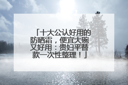 十大公认好用的防晒霜，便宜大碗又好用：贵妇平替款一次性整理！