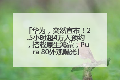 华为，突然宣布！2.5小时超4万人预约，搭载原生鸿蒙，Pura 80外观曝光