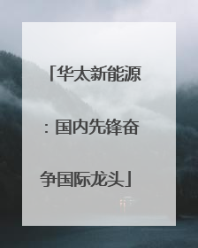华太新能源：国内先锋奋争国际龙头