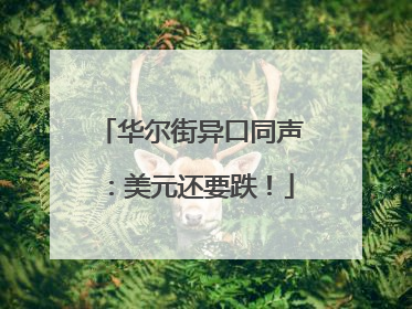 华尔街异口同声：美元还要跌！