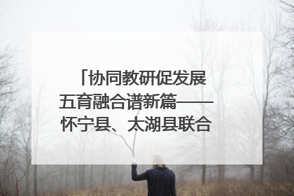 协同教研促发展 五育融合谱新篇——怀宁县、太湖县联合教研活动在月山镇中心学校成功举办