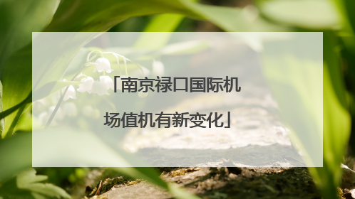 南京禄口国际机场值机有新变化