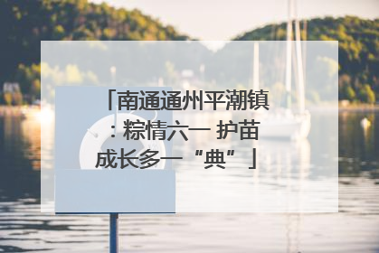 南通通州平潮镇：粽情六一 护苗成长多一“典”