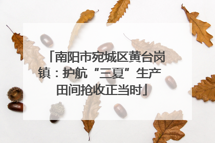 南阳市宛城区黄台岗镇：护航“三夏”生产 田间抢收正当时