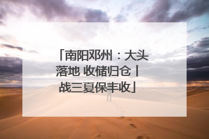 南阳邓州：大头落地 收储归仓丨战三夏保丰收