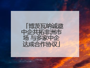博茨瓦纳诚邀中企共拓非洲市场 与多家中企达成合作协议