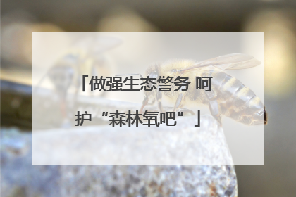 做强生态警务 呵护“森林氧吧”