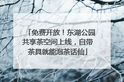 免费开放！东湖公园共享茶空间上线，自带茶具就能泡茶话仙