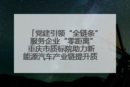 党建引领“全链条” 服务企业“零距离” 重庆市质标院助力新能源汽车产业链提升质量管理水平