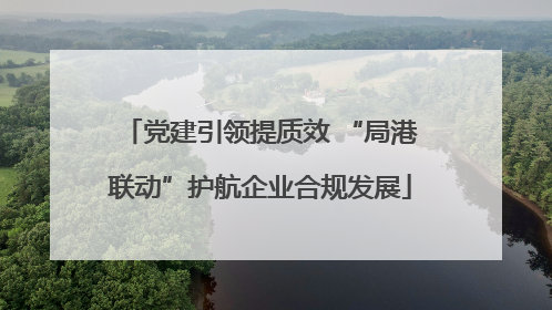 党建引领提质效 “局港联动”护航企业合规发展