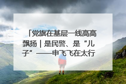 党旗在基层一线高高飘扬｜是民警、是“儿子”——申飞飞在太行山中的一线坚守