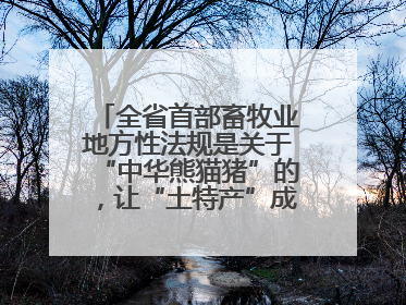 全省首部畜牧业地方性法规是关于“中华熊猫猪”的，让“土特产”成为“新国潮”，让“农产品”升格为“城市IP”
