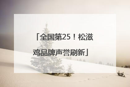 全国第25！松滋鸡品牌声誉刷新